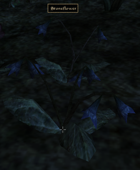 Stoneflower in Morrowind